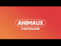 2018 | Animaux partenaire