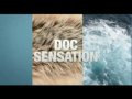 2018 | Doc sensation