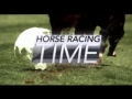 2013 | Horse Racing Time