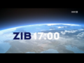 2011 | ZIB 17:00