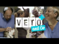 2016 | Veto and Co