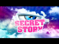 2014 | Secret Story