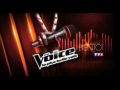 2013 | The Voice