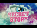 2009 | Secret Story