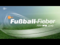 Fußall-Fieber : FIFA WM 2010